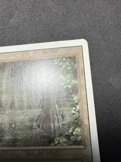 Bayou Revised Edition Dual Land Magic: The Gathering NM/LP condition - Image 5