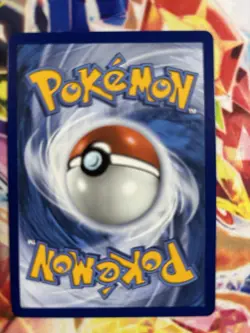 Pokemon TCG First Partner Illustration Collection Series 1 Kanto Starter Set - Image 3