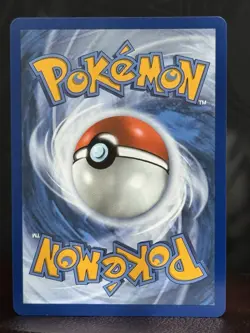 Sprigatito ex 251/217 Pokemon TCG Ascended Heroes Full Art Holo Ultra Rare MINT - Image 3