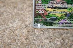 Pinsir 168/167 pokemon tcg Sv06: Twilight Masquerade Holo M/NM - Image 5