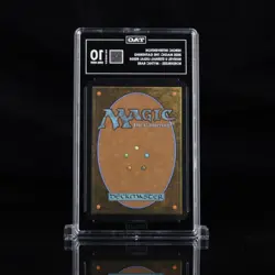 Magic, The Gathering: Spider-Man - Heroic Intervention Borderless - TAG 10 - Image 2