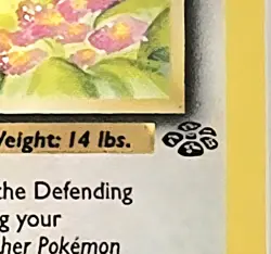 Pokemon TCG Eevee Jungle 1st Edition 1999-2000 Wizards Base Set 51/64 - Image 3