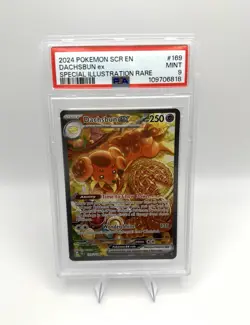 2024 POKEMON SCR EN-STELLAR CROWN SPECIAL ILLUSTRATION RARE DACHSBUN EX PSA 9 - Image 1