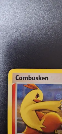 2005 Pokemon Combusken Stamped Holo #25/106 - Image 2