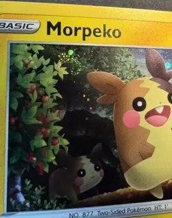 Morpeko - SWSH012 With *SWIRL* Sword & Shield Black Star Promo Pokemon Card - NM - Image 1