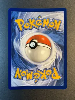 Morpeko - SWSH012 With *SWIRL* Sword & Shield Black Star Promo Pokemon Card - NM - Image 4