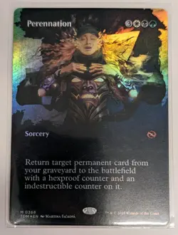 Perennation (Borderless) Tarkir: Dragonstorm Foil - MTG MYTHIC - Image 1