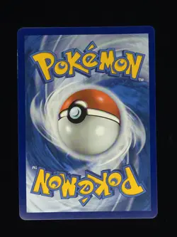 Pikachu V-Union SWSH141 Pokemon SWSH: Sword & Shield Promo Cards 🔥🔥🔥 - Image 2