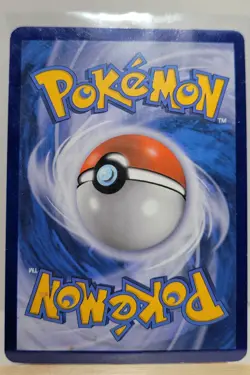 Zigzagoon 11/12 Holo 2015 McDonalds Exclusive Promo Pokemon Card TCG - Image 2