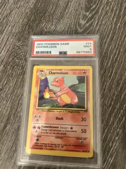 x1 1999 Pokemon Shadowless Charmeleon #24 PSA 9 Mint - Image 2