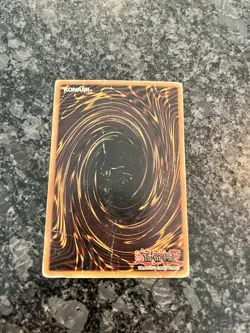 Yu-Gi-Oh! Dark Paladin DMG-001 - Limited Edition Secret Rare - MP/HP - Image 3