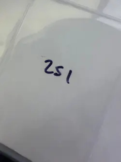 Magic the Gathering: Beta Stone Rain MTG Beta - Image 3