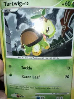 Pokemon TCG Turtwig Pop Series 6 Holo Card 17/17 MP - Image 3