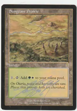 Odyssey Sungrass Prairie Signed by Ron Spencer - Image 1