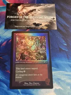 Canyon Slough 2521 Foil Retro Brain Dead New Earth Mentality - Image 1