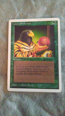 Natural Selection Unlimited Edition Regular - Image 1