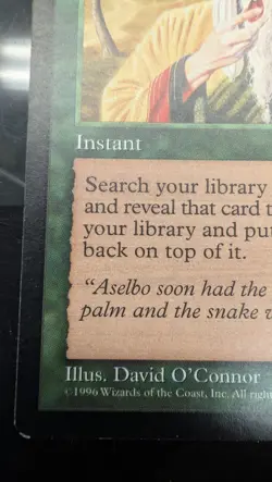 Worldly Tutor Mirage Regular - Image 4