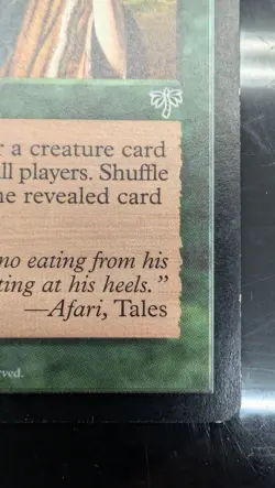 Worldly Tutor Mirage Regular - Image 5