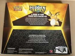 Pokemon TCG Hidden Fates RAICHU-GX COLLECTION SET FACTORY SEALED! - Image 2