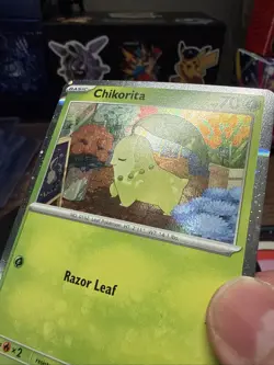 Chikorita MEP 069 - NM Pokemon Mega Evolution Perfect Order Holo Promo - Image 2