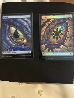 MTG Tarkir Dragonstorm, Island, Plains, Full Art Lands, Foil x2 - Image 1