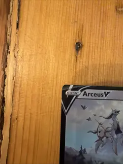 Pokemon TCG Arceus V SWSH204 2022 Figure Collection Black Star Promo Card - Image 4