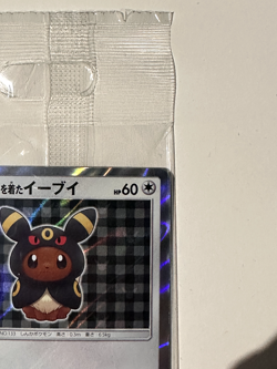 Poncho Wearing Eevee Umbreon 141/SM-P PROMO Sealed MINT Pokemon Card Japanese - Image 4