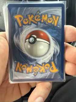 Litten MEP 044 Promo - Illustration Rare - Pokemon TCG: 30th Anniversary - NM - Image 2