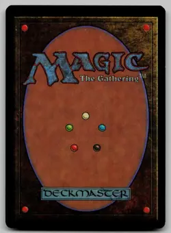 Pallimud R Tempest 195 NM - Image 2