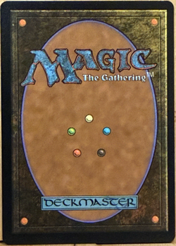LIMITED EDITION Secret Lair MtG Ripples of Potential NM BORDERLESS FOIL! - Image 2
