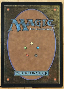 LIMITED EDITION Lorwyn Eclipsed MtG Necroskitter Unplayed NM - Image 2