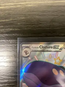 Paldean Clodsire ex 219/091 Paldean Fates Shiny Ultra Rare Holo Pokemon 2024 NM - Image 2