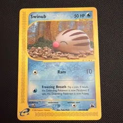 Swinub 107/144 Skyridge Non-Holo E-Series Pokemon TCG Card NM - Image 1