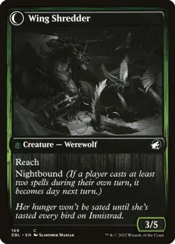 [MTG] Bird Admirer (169) (DBL) NM - Image 2