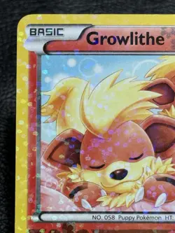 Growlithe RC4/RC25 - Pokemon TCG: Legendary Treasures Radiant Collection - LP - Image 2