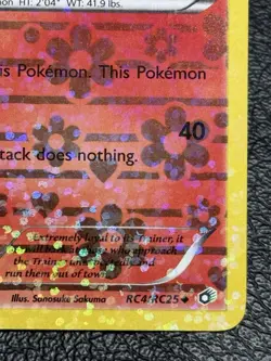 Growlithe RC4/RC25 - Pokemon TCG: Legendary Treasures Radiant Collection - LP - Image 4