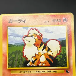 [No Import Duty (US)] Growlithe & Arcanine Intro Pack Squirtle Deck Pokemon Card - Image 3