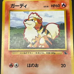 [No Import Duty (US)] Growlithe & Arcanine Intro Pack Squirtle Deck Pokemon Card - Image 4