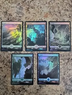 (x5) Basic Lands MTG (Full Art FOIL) BFZ Near Mint Never Played Commander Ready - Image 2