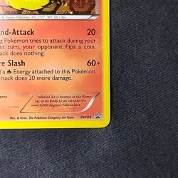 Pokemon TCG Flareon Black & White Black Star Promo Holo BW88 NM - Image 4