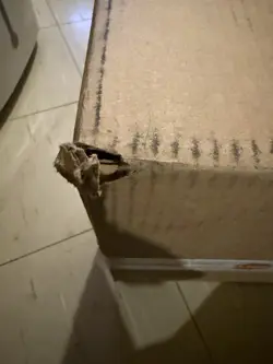 Pokemon Perfect Order Elite Trainer Box Case Factory Sealed 10 ETB ME03 - Image 4