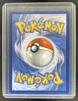 2019-2023 Pokemon SWSH Black Star Promos Greninja #SWSH144 - Image 2