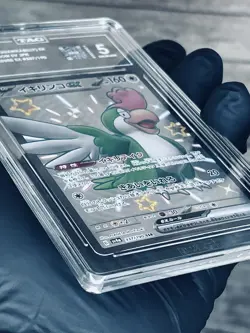 Squawkabilly ex 337/190 Shiny Treasure ex Japanese TAG 5 Graded Pokemon Card - Image 2