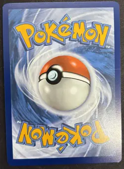 Pokemon TCG Lileep Card 145/142 Stellar Crown Illustration - Image 2