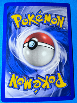 Pokemon Ursaring 110/144 Skyridge Regular - Image 2