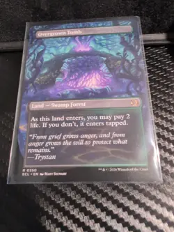 Overgrown Tomb (Borderless) Lorwyn Eclipsed Regular - Image 2