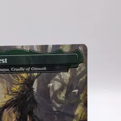Fangorn Forest - Yavimaya, Cradle of Growth: Lord of the Rings: Regular - Image 3