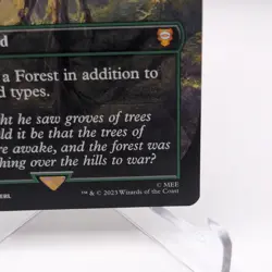 Fangorn Forest - Yavimaya, Cradle of Growth: Lord of the Rings: Regular - Image 4