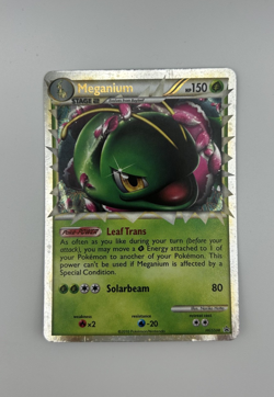 Meganium Prime HGSS08 Black Star Promo 2010 Ultra Rare Pokemon Card *MP see pic* - Image 5