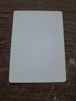 Sacellum Archers Artist Proof SIGNED By Kev Walker Magic The Gathering - Image 2